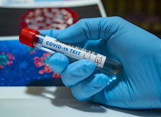 В Волгограде за сутки проведено более 1000 тестов на коронавирус